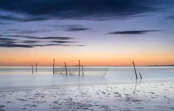 Sea, sunset, network