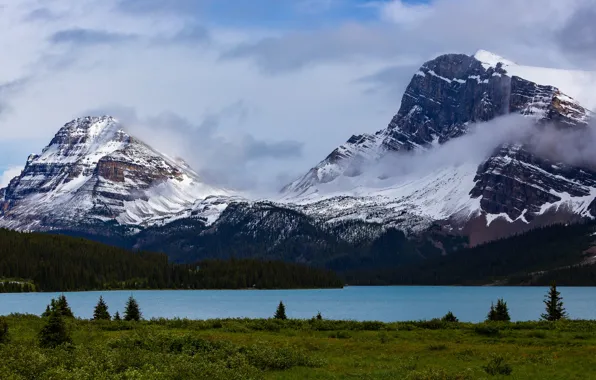 Picture forest, clouds, snow, landscape, mountains, nature, shore, tops