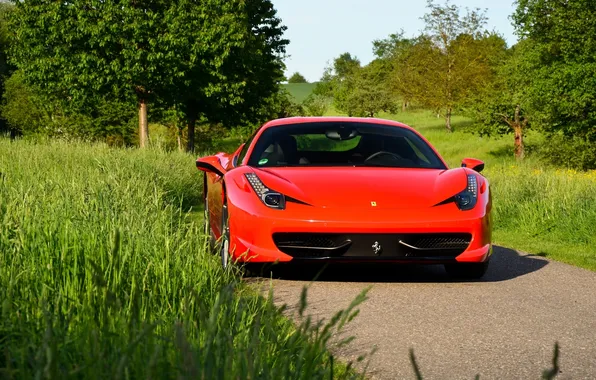 Road, the sky, grass, trees, red, ferrari, Ferrari, road