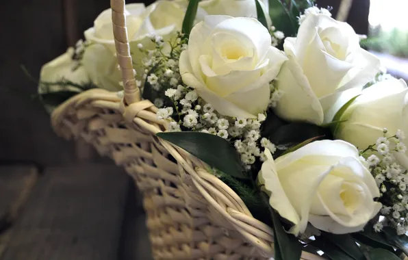 Roses, bouquet, white, basket