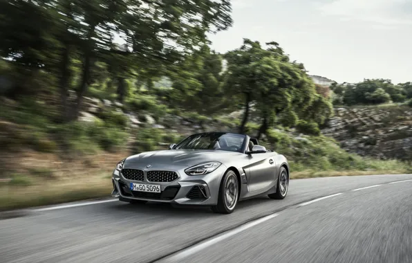 Picture trees, grey, speed, BMW, slope, Roadster, BMW Z4, M40i