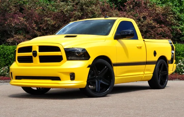 Dodge, yellow, front, 1500, track, ram, rumble bee concept