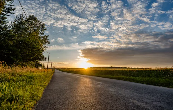 Picture road, light, morning