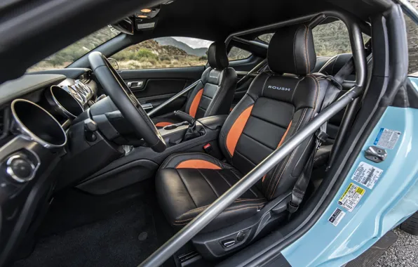 Mustang, Ford, salon, Mustang GT, Roush, 2019, Performance Stage 3