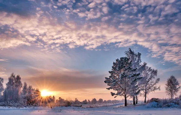 Winter, the sky, the sun, clouds, rays, trees, frost, Konstantin Leontiev
