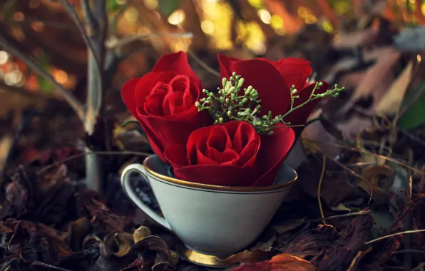 Leaves, branches, roses, mug, artificial flowers