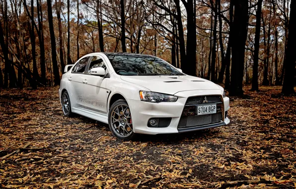 Picture Mitsubishi, Evo X, Lancer, Evolution, Lancer, Mitsubishi