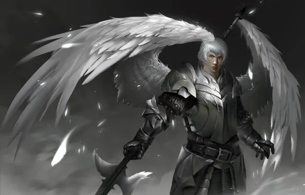 Angel, sword, armor, warrior, guy, knight