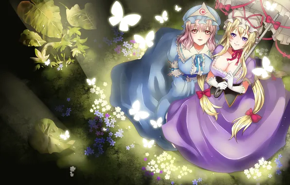 Picture chest, look, girl, flowers, smile, butterfly, umbrella, touhou