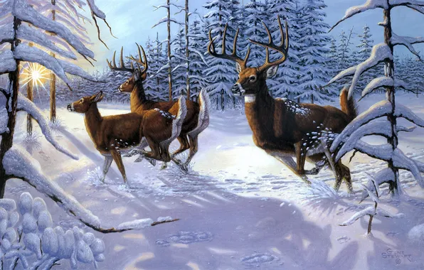 Winter, forest, animals, the sun, rays, snow, spruce, painting