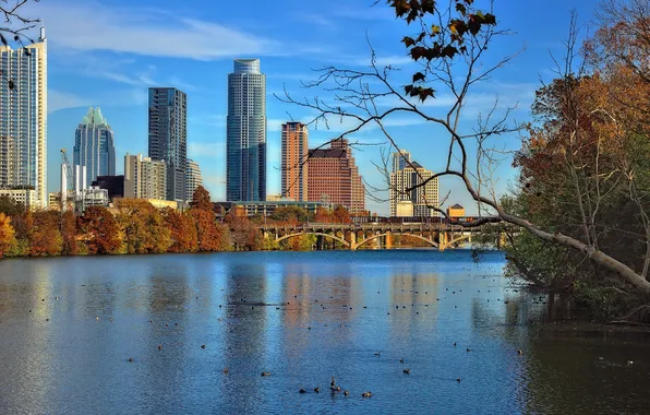 Autumn, the sky, bridge, river, skyscraper, home, USA, Austin