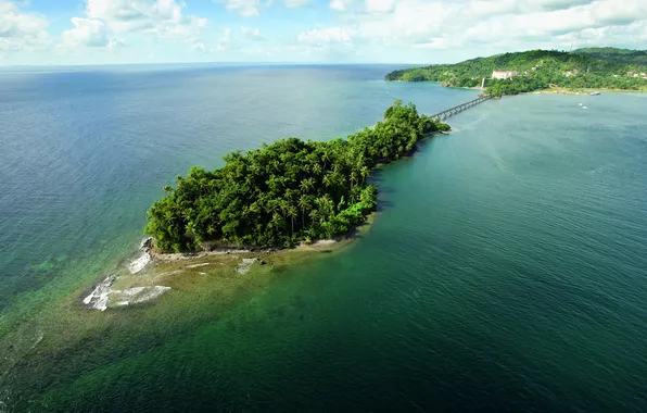 Bridge, palm trees, the ocean, island, mainland, connection