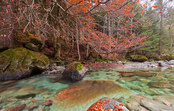 Autumn, landscape, nature, river
