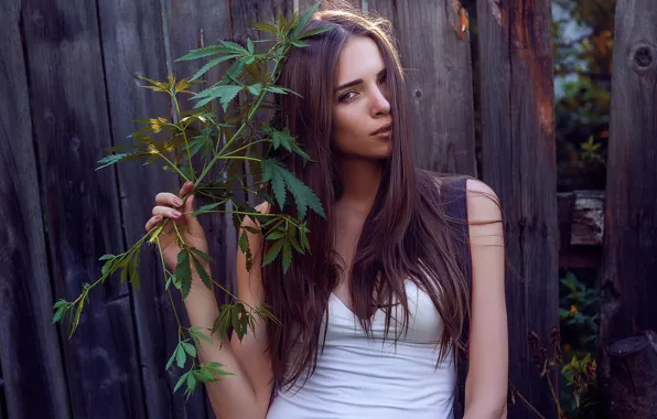 Girl, branches, the fence, hemp, the bushes