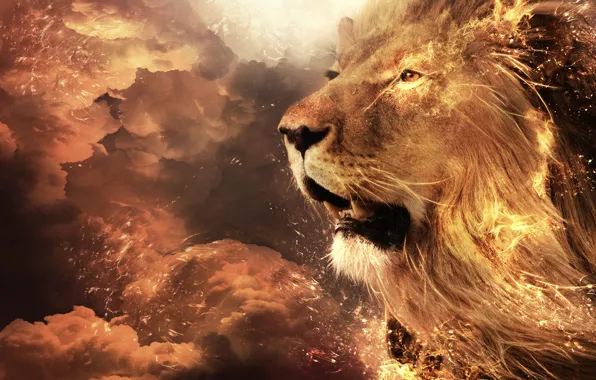 Aslan HD Wallpapers and Backgrounds