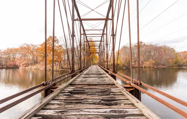 Autumn, bridge, river