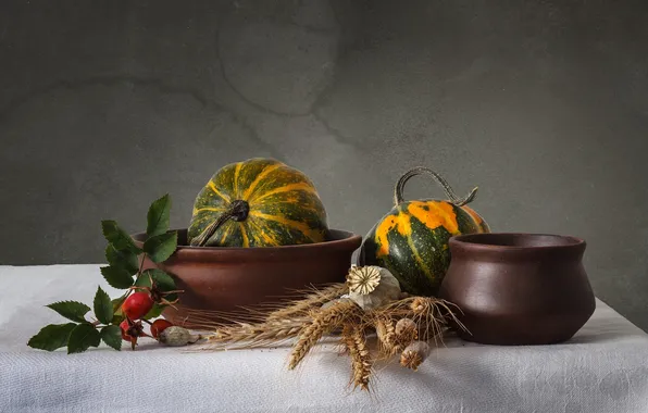 Wheat, autumn, Mac, briar, pumpkin, ears, still life, pottery