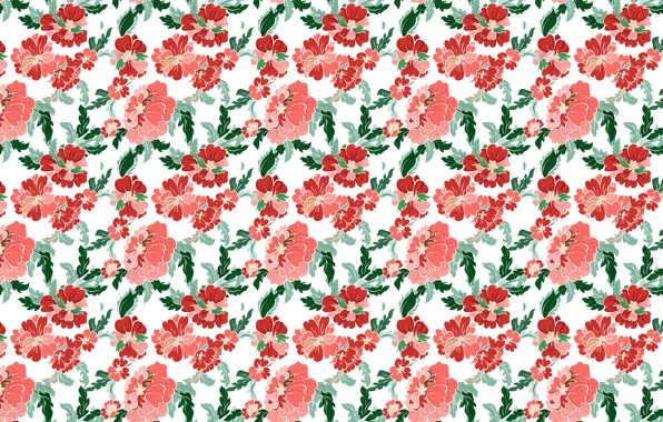 Flowers, pattern, peonies