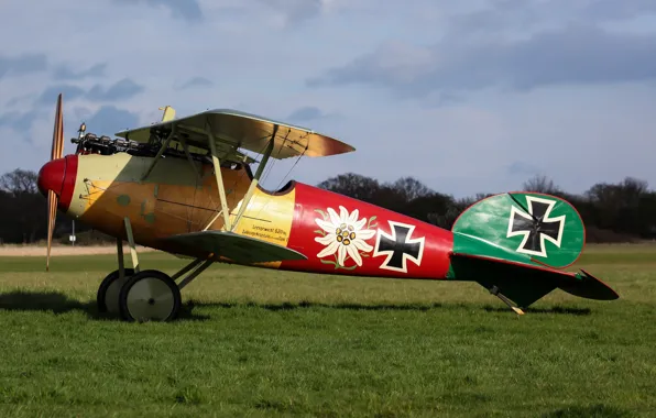 Picture in the first, fighter biplane, German, Albatros, D.III, world war, used