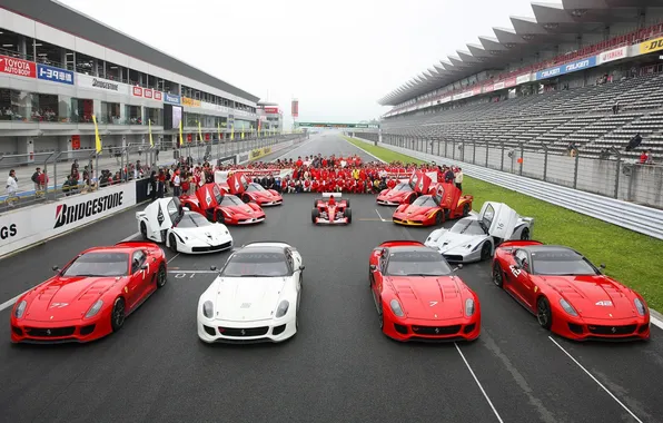Picture background, Ferrari, team, Ferrari, the car, tribune, supercars, racing