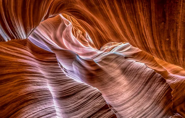 Picture light, paint, AZ, gorge, USA, antelope canyon