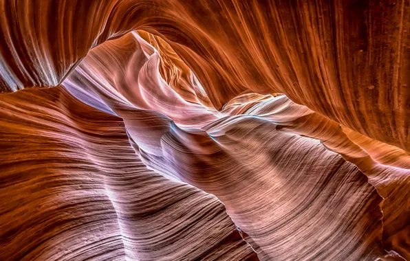 Light, paint, AZ, gorge, USA, antelope canyon