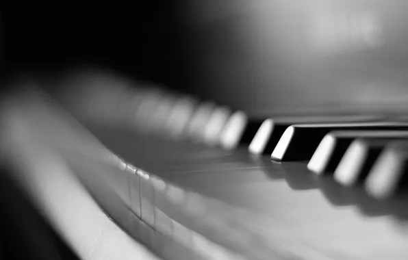 Macro, keys, black and white, piano