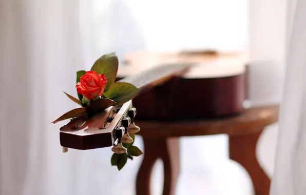 Picture love, music, rose, guitar, melody