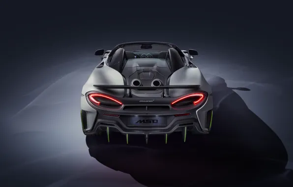 McLaren, supercar, rear view, Spider, MSO, 2019, 600LT