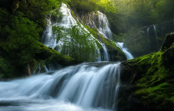 Greens, forest, summer, nature, river, waterfall, spring, USA