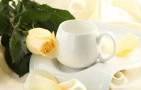 Picture flower, flowers, rose, silk, Bud, Cup, silk