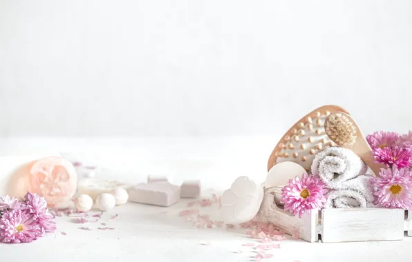 Flowers, towel, petals, soap, white background, pieces, pink, placer