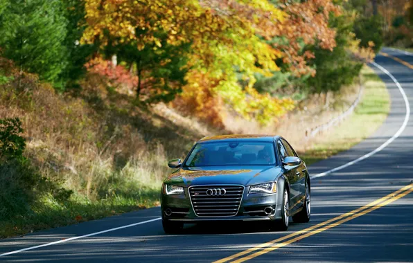 Picture Audi, Auto, Road, Trees, Street, Sedan, The front