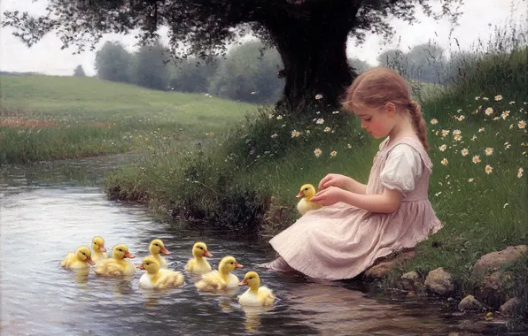 Summer, pond, tree, shore, duck, girl, ducklings, Chicks