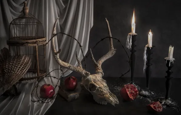 The dark background, table, flame, skull, cell, candles, feathers, deer