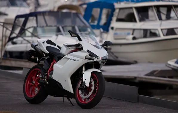 White, Moto, motorcycle, white, Ducati, moto, motorcycle, sportbike