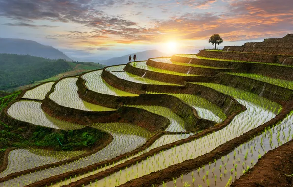 Earth, control, asia, china, asian, curve, county, agriculture