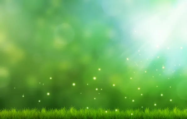Picture greens, grass, light, background, art, sparks