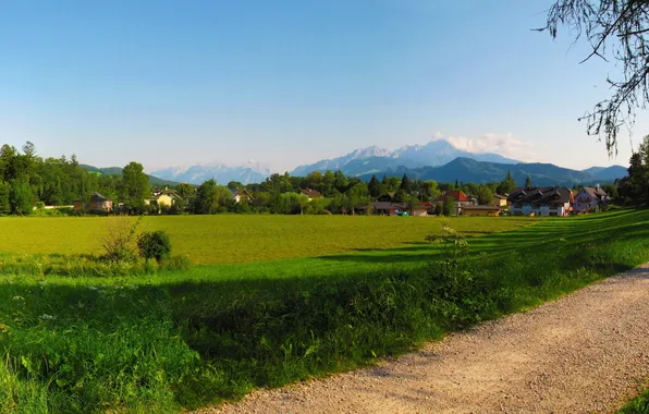 Field, landscape, mountains, home, Austria, Salzburg, nature., Salsburg