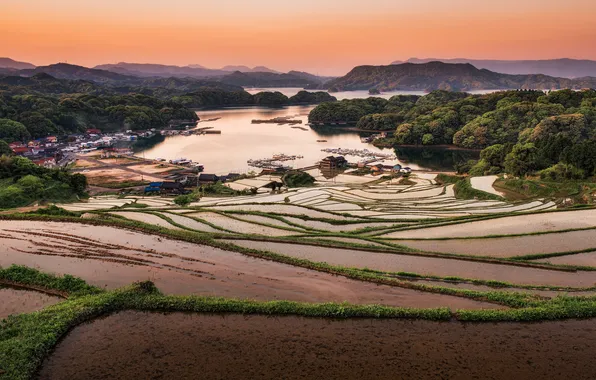 Field, dawn, Bay, figure, crops, terrace, Philippines