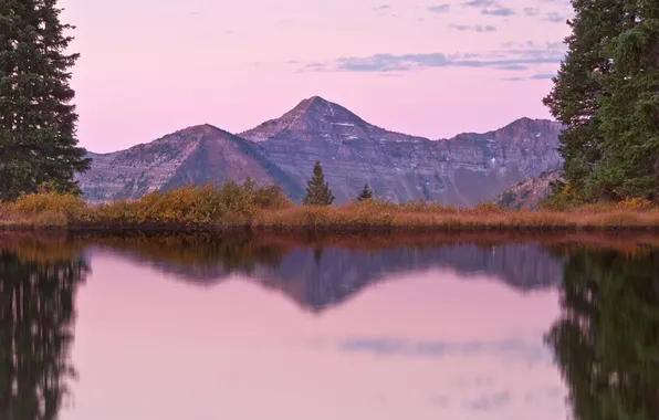 Picture forest, mountains, lake, pink morning