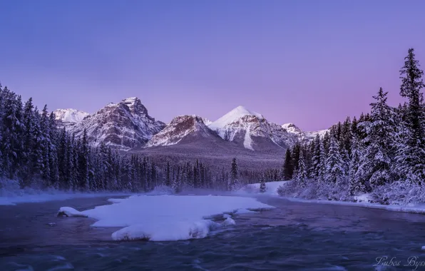 Winter, forest, snow, mountains, river, morning, Canada, Albert
