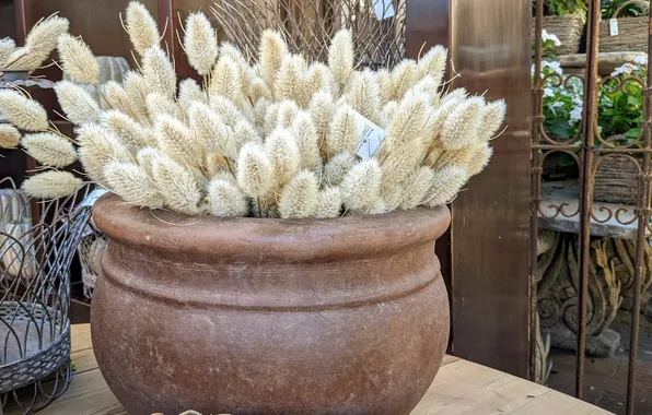 Pot, dry grass, dry spikelets