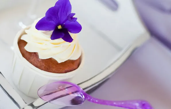 Flower, purple, spoon, cake, cream, dessert, sweet, tray