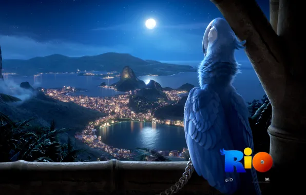 Picture bird, Rio, Cartoon, views of Rio de Janeiro