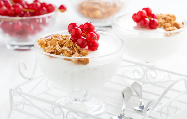 Dessert, currants, granola, Panna cotta