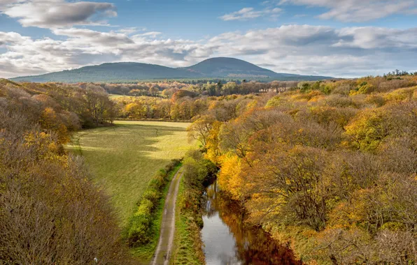 Road, field, autumn, forest, the sky, clouds, trees, mountains