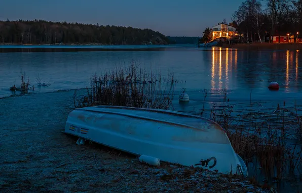 Forest, trees, lights, river, shore, boat, home, the evening