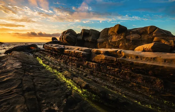 Sea, the sky, clouds, light, algae, blue, stones, rocks