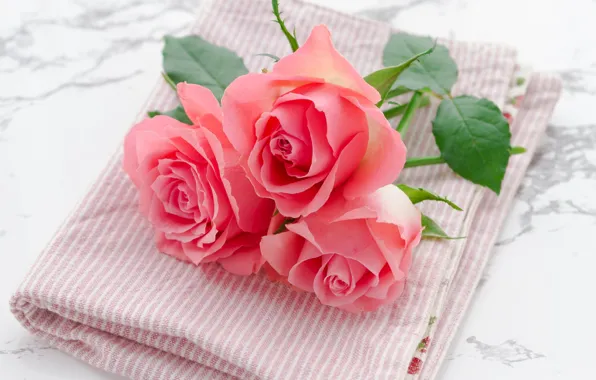 Flowers, table, roses, towel, bouquet, pink, trio, light background